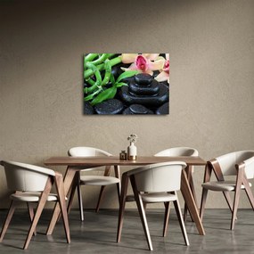 Kép - Kövek és orchideák (70x50 cm)