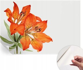 Dekoratív Öntapadós Tapéta Divatos Minták Narancs liliom 152x104 cm