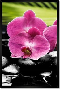 Poszterek keretben 40x60 Spa Kövek és leanderek