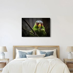 Papagáj képe (90x60 cm)