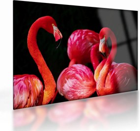 Vörös flamingók képe
 (üvegen) (70x50 cm)