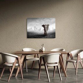 Kép -Elefánt egy nagyvárosban, fekete-fehér változat (üvegen) (70x50 cm)