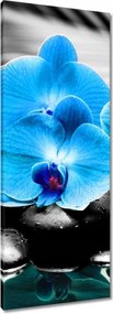 Vászonkép 40x100 Kék orchidea