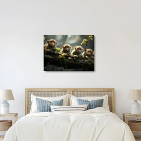 Üveg kép - Majmok (70x50 cm)