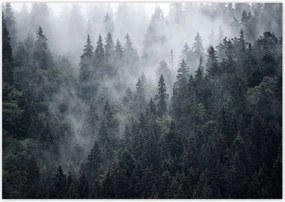 Poszterek 100x70 Ködös hegyi táj
