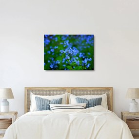 A kék virágok képe (70x50 cm)