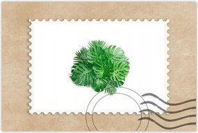 Poszterek 90x60 Monstera Lyukas levelek