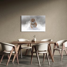 Futó tigris a hóban képe (90x60 cm)