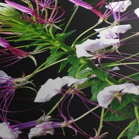 Virágos kép (90x60 cm)