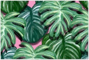 Poszterek 120x80 Monstera Levelek levél
