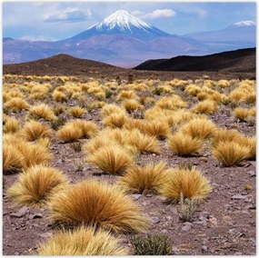 Poszterek 100x100 Tájképek Kilátások OrszágPlakátok