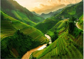 Kép - Mu Cang Chai rizsteraszok (70x50 cm)