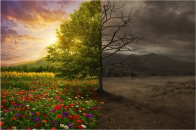 Kép - Életciklus (90x60 cm)