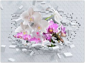 Poszterek 135x100 Orchidea a falon Virágok