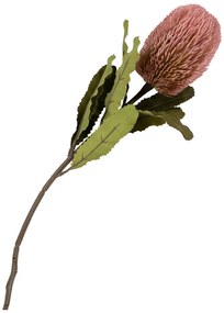 Protea művirág csokor 74 cm