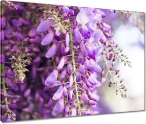 Vászonkép 80x60 Lila virágok Virágok