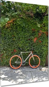 Vászonkép 80x120 Kerékpárok Két kerék