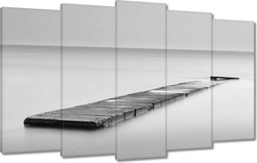 VĂĄszonkĂ©p 100x60 HĂd Tenger Fekete-fehĂ©r