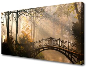 Vászonkép Forest Bridge architektúra 100x50 cm