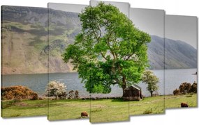 Festmények 100x60 Erős fa