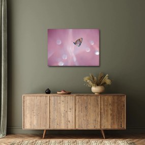 Kép - Pillangó (70x50 cm)
