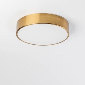 Brilagi - LED fürdőszobai mennyezeti lámpatest POOL LED/24W/230V átm. 30 cm IP54 bronz