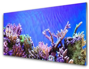 Üvegkép Barrier Reef Nature 100x50 cm 2 fogas