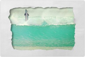 Poszterek 90x60 Szimpatikus delfin óceán