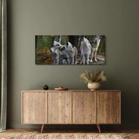 Kép - Farkasok a sziklán (120x50 cm)