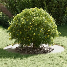 Fehér Fém Virágcserép Fehér Fém 80 cm átmérő