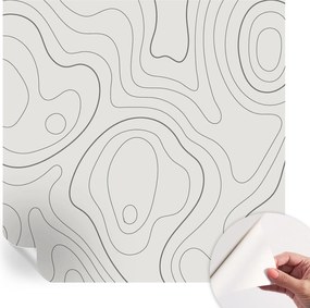 Fotótapéta Fali tapéta Hálószobába és Nappaliba Folyékony vonalak 250x250 cm