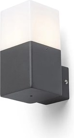 RENDL CLYDE fali lámpa antracit 230V LED E27 11W IP44