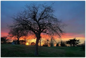 Poszterek 120x80 Naplemente