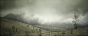 A vihar előtti táj képe (120x50 cm)