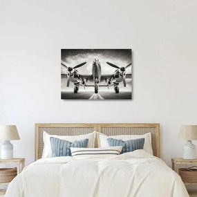 Üveg kép - Warbird (70x50 cm)