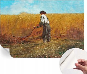 Modern öntapadós fotótapéta falra Szüret a napsütésben 152x104 cm