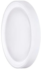 Solight WO8015 - LED RGB Dimmelhető mennyezeti lámpa FLOCO LED/30W/230V+RGB/6W+RC d.40cm