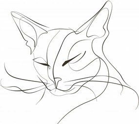 Poszter 60x40cm Vonalzó macska