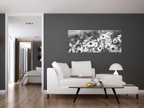 Kép - Százszorszépek (120x50 cm)