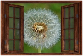 Poszterek 60x40 Pitypang Virág Virágok