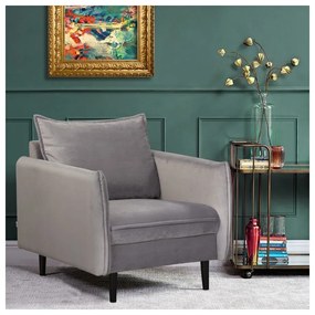 Szürke bársony fotel Juli – Ropez