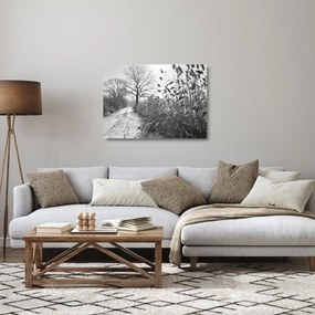 Üveg kép - Mezők télen (70x50 cm)