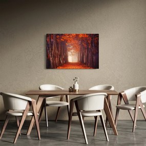 Kép - őszi erdő (90x60 cm)