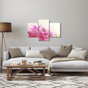 Kép - Rózsaszín virágok (90x60 cm)