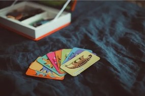 Janod - Interaktív mágneses készlet MAGNETIBOOK dinoszauruszokkal