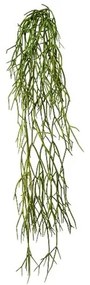 Műnövény Rhipsalis lógó, 61 cm, zöld, 61 cm, zöld