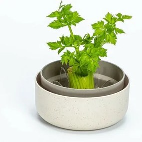 Plastia Regrow, elefántcsont