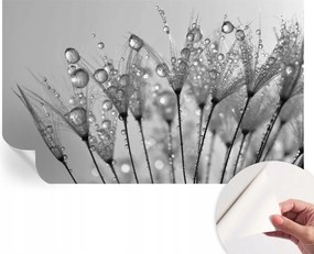 Prémium öntapadós fali tapéta Nedves finomság 416x254 cm