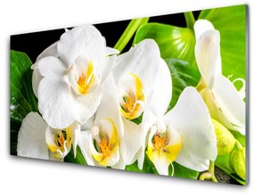 Akril üveg kép Orchidea virágok Természet 120x60 cm 2 fogas