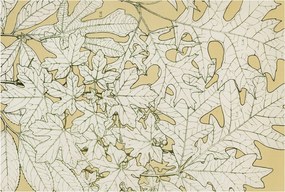 Flizelin tapéta falra Prémium falevelek 104x70 ragasztó